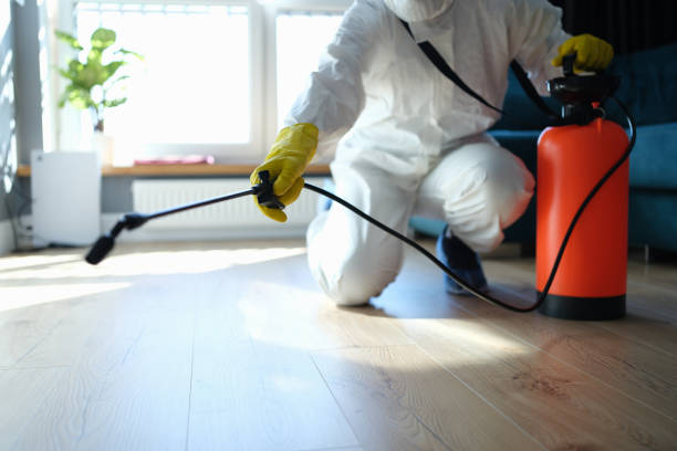 Reliable Biohazard contractor in Johannesburg, CA by Crime Scene Cleaner Online